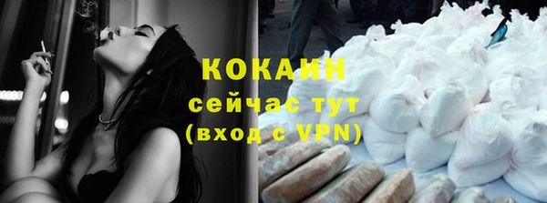 стаф Семилуки