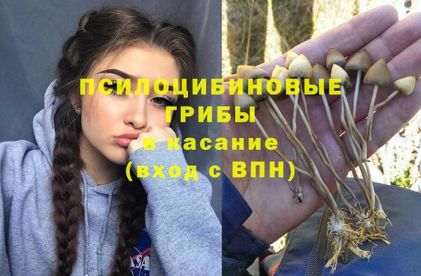 прущая мука Саяногорск