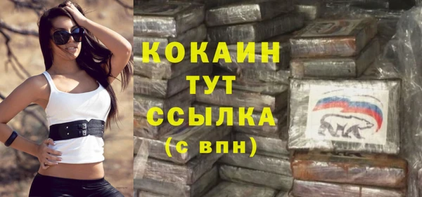 гашик Сатка