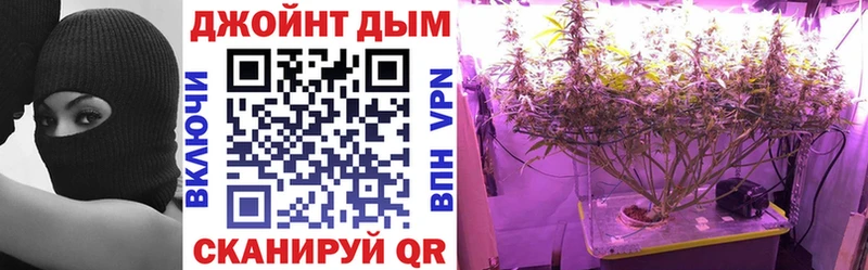 Бошки Шишки планчик  наркошоп  Чекалин 